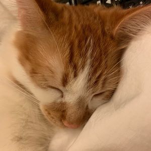 Meet your Posher, Mary